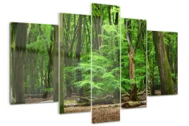 obraz-akrylowy-tryptyk-170x100-holenderski-las