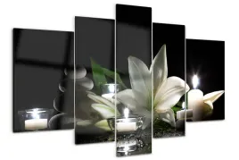 foto-obraz-szklo-akrylowe-tryptyk-biala-lilia