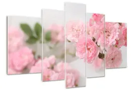 foto-obraz-szklo-akrylowe-tryptyk-dzikie-roze
