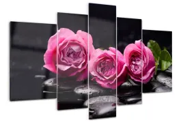 foto-obraz-szklo-akrylowe-rozowe-roze