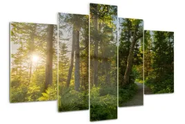 foto-obraz-szklo-akrylowe-tryptyk-las-kwiaty