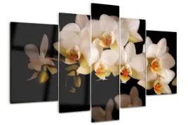 foto-obraz-akrylowy-tryptyk-nowoczesny-orchidea