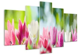foto-obraz-akrylowy-tryptyk-nowoczesny-tulipany