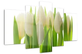 foto-obraz-akrylowy-tryptyk-nowoczesny-tulipany