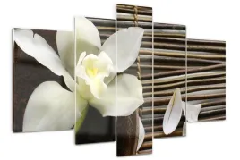 foto-obraz-akrylowy-tryptyk-nowoczesny-orchidea