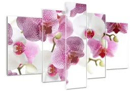 foto-obraz-akrylowy-tryptyk-nowoczesny-orchidea