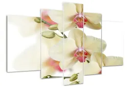 foto-obraz-akrylowy-tryptyk-nowoczesny-orchidea