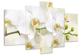 foto-obraz-akrylowy-tryptyk-nowoczesny-orchidea
