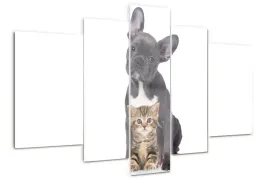 foto-obraz-szklo-akrylowe-poliptyk-pies-i-kot