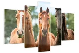 foto-obraz-szklo-akrylowe-poliptyk-trzy-konie