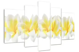 foto-obraz-akrylowy-tryptyk-nowoczesny-plumeria