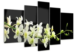 foto-obraz-akrylowy-tryptyk-nowoczesny-orchidea