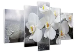 foto-obraz-akrylowy-tryptyk-nowoczesny-orchidea