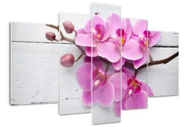 foto-obraz-akrylowy-tryptyk-orchidea-na-drewnie