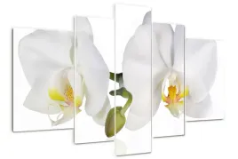 foto-obraz-akrylowy-tryptyk-nowoczesny-orchidea