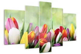 foto-obraz-akrylowy-tryptyk-kolorowe-tulipany