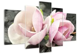 foto-obraz-akrylowy-tryptyk-magnolia-kamien-zen