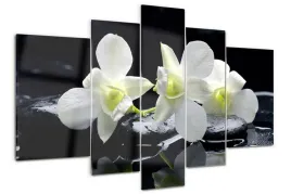 foto-obraz-akrylowy-tryptyk-nowoczesny-orchidea