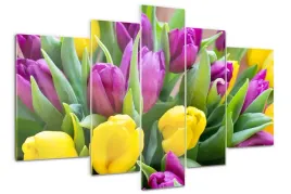 foto-obraz-akrylowy-tryptyk-kolorowe-tulipany