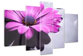 foto-obraz-akrylowy-tryptyk-nowoczesny-gerbera