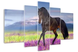 foto-obraz-akrylowy-tryptyk-kon-na-polu-lawendy