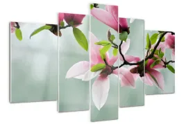 foto-obraz-akrylowy-tryptyk-nowoczesny-magnolia