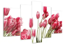 foto-obraz-akrylowy-tryptyk-czerwone-tulipany
