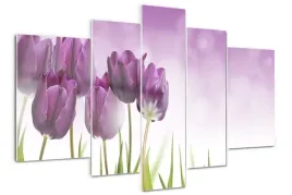 foto-obraz-akrylowy-tryptyk-filetowe-tulipany