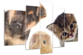 foto-obraz-akrylowy-poliptyk-zwierzeta-domowe