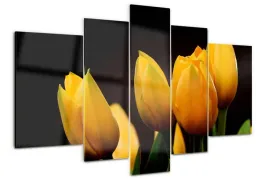 foto-obraz-akrylowy-duzy-tryptyk-zolte-tulipany