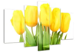 foto-obraz-akrylowy-duzy-tryptyk-zolte-tulipany