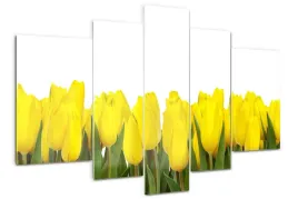 foto-obraz-akrylowy-duzy-tryptyk-zolte-tulipany