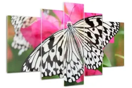 foto-obraz-akrylowy-poliptyk-motyl-na-kwiatku