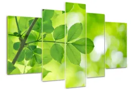 foto-obraz-akrylowy-duzy-tryptyk-zielone-liscie