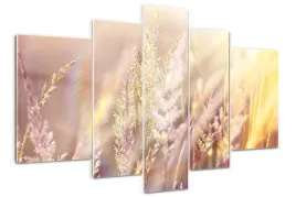 foto-obraz-akrylowy-duzy-tryptyk-wysoka-trawa