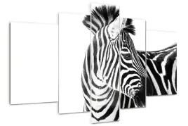 foto-obraz-akrylowy-duzy-tryptyk-zebra-w-sniegu
