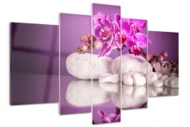 foto-obraz-akrylowy-duzy-tryptyk-rozowa-orchidea