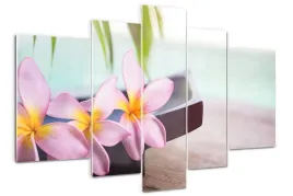 foto-obraz-akrylowy-duzy-tryptyk-plumeria-kwiaty