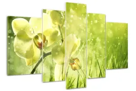 foto-obraz-akrylowy-duzy-tryptyk-orchidea-kwiaty