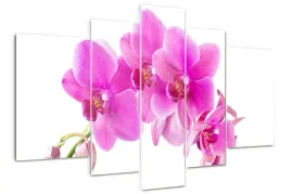foto-obraz-akrylowy-duzy-tryptyk-rozowa-orchidea