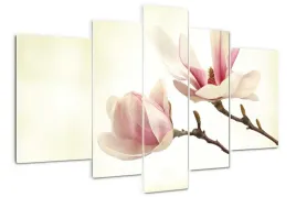 foto-obraz-akrylowy-duzy-tryptyk-magnolia-kwiaty