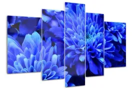 foto-obraz-akrylowy-duzy-tryptyk-niebieski-aster