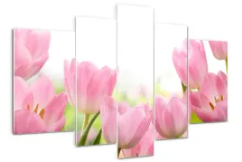 foto-obraz-akrylowy-duzy-tryptyk-rozowe-tulipany