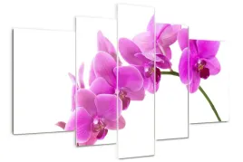 foto-obraz-akrylowy-duzy-tryptyk-rozowa-orchidea
