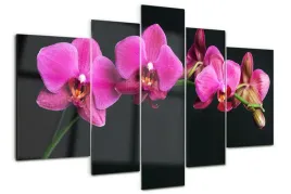 foto-obraz-akrylowy-duzy-tryptyk-orchidea-kwiaty
