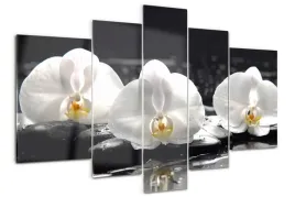 foto-obraz-akrylowy-duzy-tryptyk-orchidea-kwiaty