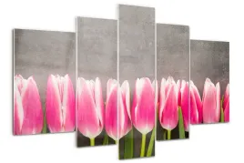 foto-obraz-akrylowy-duzy-tryptyk-rozowe-tulipany