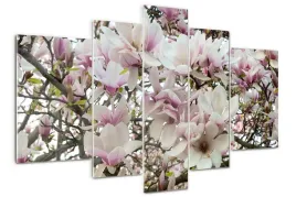 foto-obraz-akrylowy-duzy-tryptyk-kwiaty-magnolii