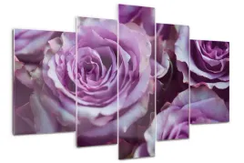 foto-obraz-akrylowy-duzy-tryptyk-fioletowe-roze