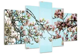 foto-obraz-akrylowy-duzy-tryptyk-kwiaty-magnolii